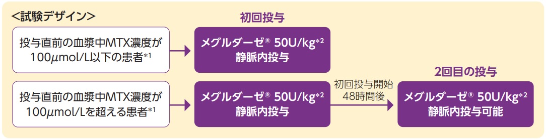 試験デザイン 表