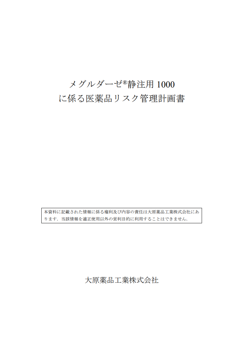 リスクマネージメントプラン（RMP）