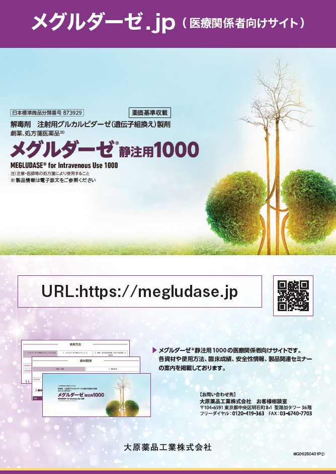 メグルダーゼ.jp案内（2025年5月更新）