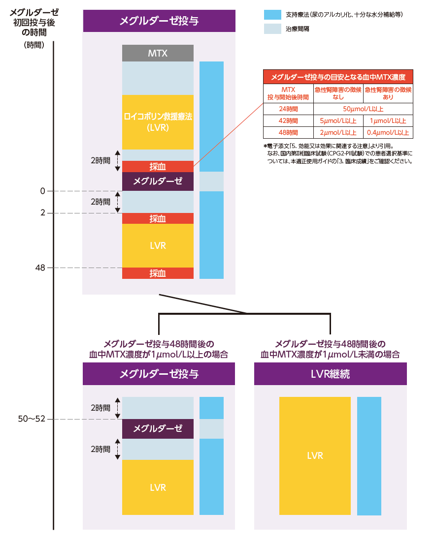 図：メグルダーゼ投与スケジュール