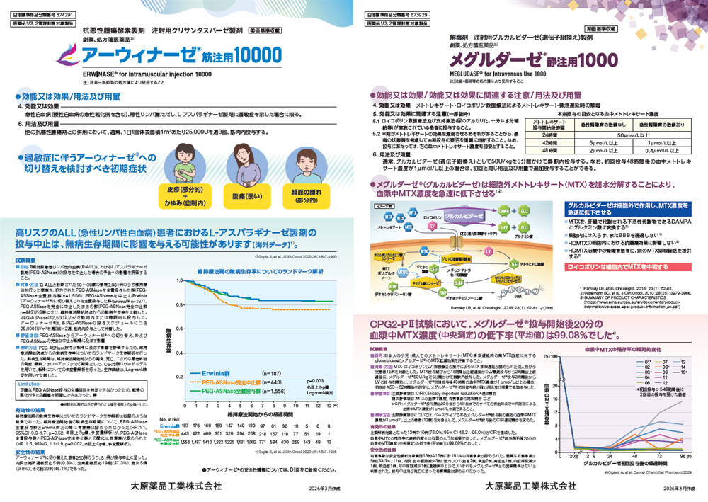 アーウィナーゼ/メグルダーゼ 合同パンフ（2026年3月作成）